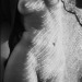 bellisimabelinda: