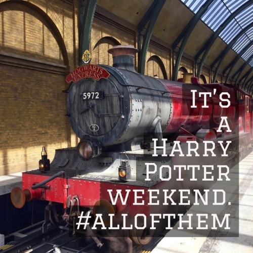 It’s a Harry Potter weekend. #allofthem #all8ofthem #harrypotter #harrypotterweekend #universalstudi