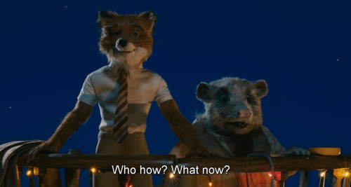 Fantastic Mr. Fox, 2009 (Dir. Wes Anderson)