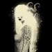 moonlightdeathwish: