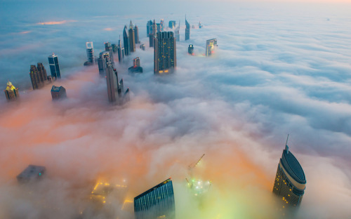 euroarab:   Foggy Dubai Picture: This breathtaking view from the Burj Khalifa, the world’s tallest building, shows a thick blanket of smoggy fog smothering Dubai. The mist almost completely covers the skyscrapers which dominate the skyline. © Bjoern