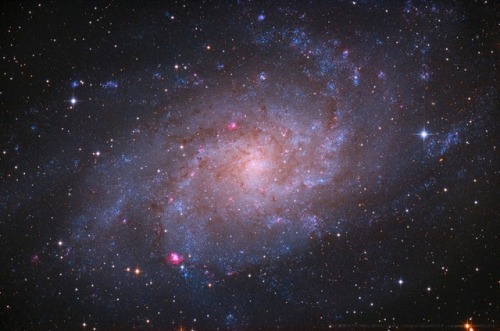 M33: Triangulum Galaxy : The small, northern constellation Triangulum harbors this magnificent face-