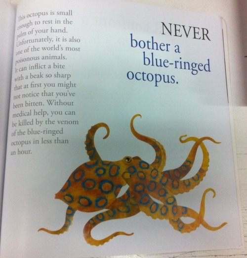 deep-space-diver: You know what doesn’t fuck around? Australian children’s books on anim