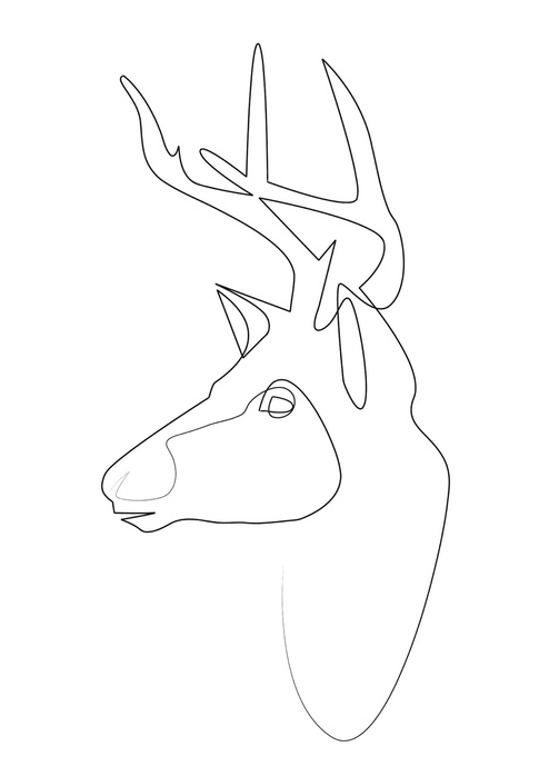 One-Line Drawings