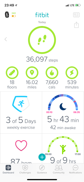 Fuck ton of steps today … pretty tired 😂💪🏼