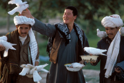 unrar:  Afghanistan, Mazar Sharif. White doves, who are supposed to bring in good fortune, are fed by pilgrims in front of the shrine of Imam Ali 1986,   A. Abbas. 