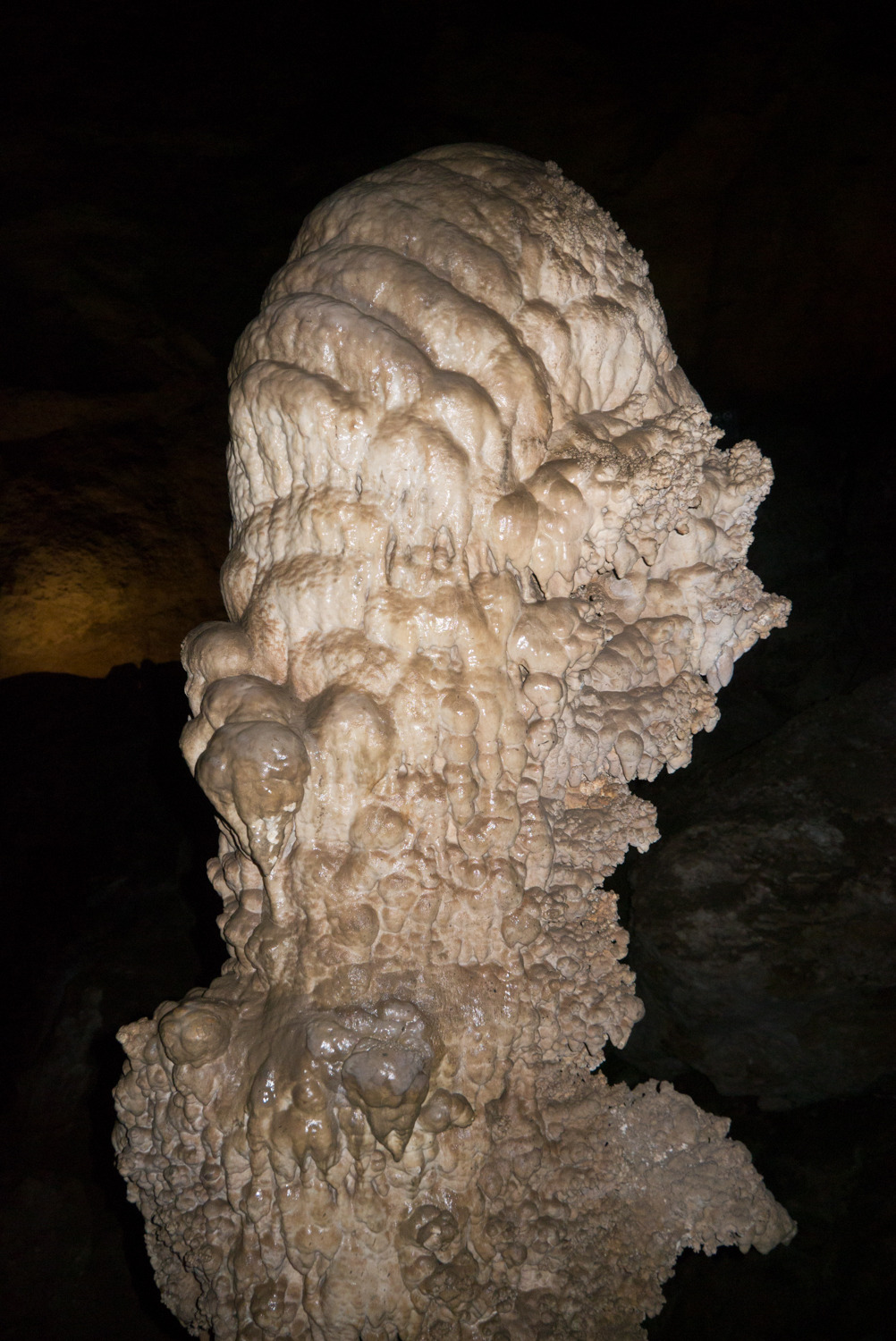 terrysdiary:  Carlsbad Caverns #10