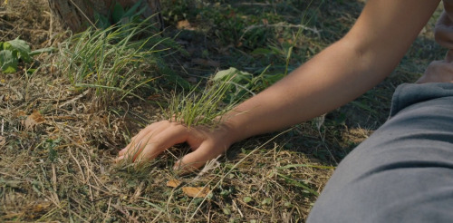 Midsommar (2019) | Dir. Ari Aster