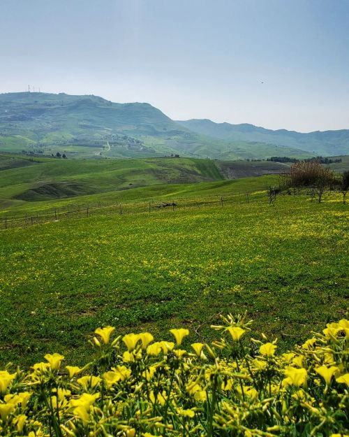 No, not Ireland. No, not Scotland. No, not Wales. This is the green, green, grass of home&hellip