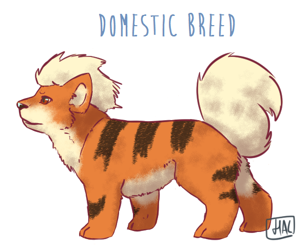 pandroids:  Growlithe VariationsDomestic: The ‘standardised’ breed, a foot tall