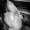 blackandwhitelover1968-deactiva: