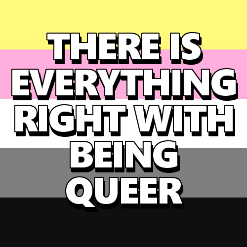 queerlection:[Image description - Images of a queerplatonic, lesbian, genderqueer, rainbow, pan, bi,