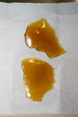 purloiner:  One gram of Gold Coast Extracts Snow Cookies nectar from Apothecary Collective in Los Angeles, California. 