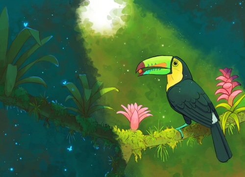 A bit of jungle magic. I love toucans! And drawing plants is actually a lot of fun. I’m definitely d