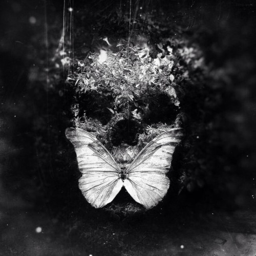 Bruised Soul