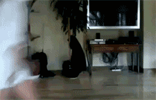 funnnyyy-giiiifffsss:  Click HERE for more gifs !