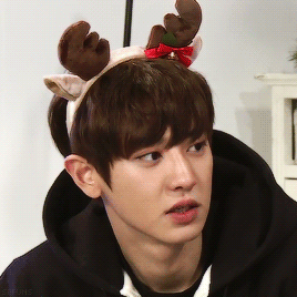 sefuns:  most handsome reindeer :)