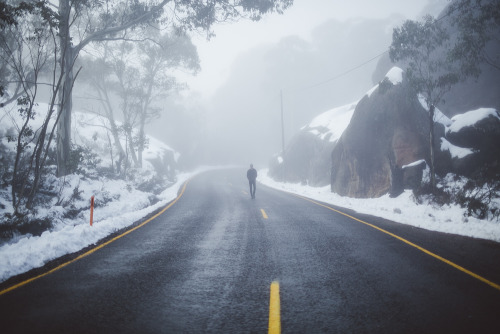 theadventuretruck: A few last photos halfway down Mount Buffalo in the morning fog.