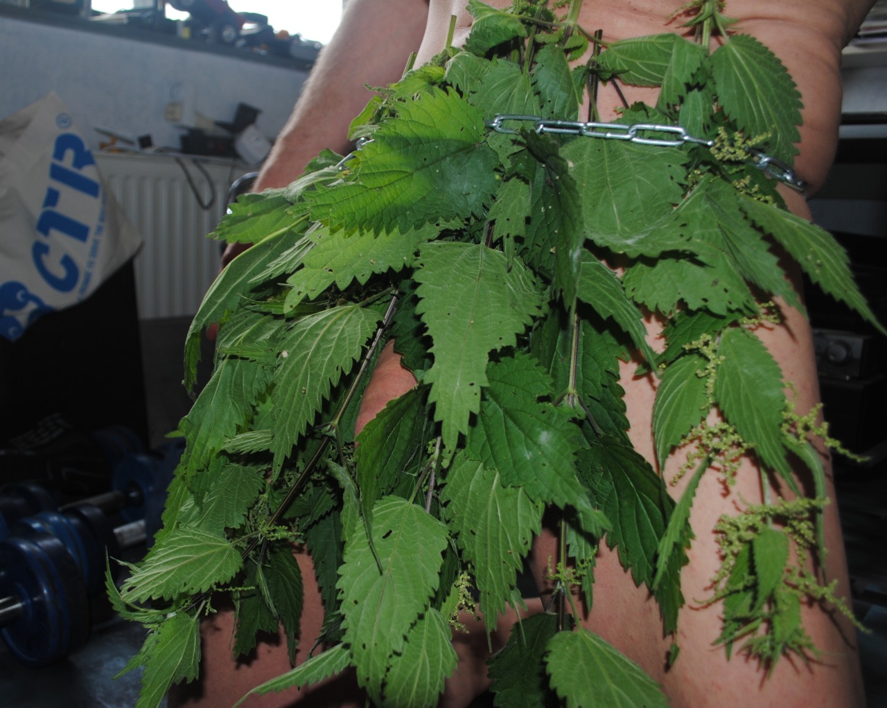 How do you like my nettle skirt?