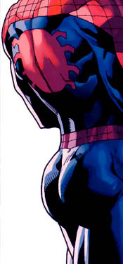 dailybulge:  best of marvel butts (1/10) → peter parker 