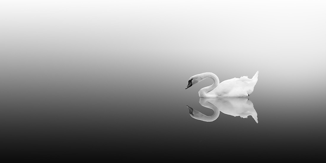 artemisdreaming:  Swan Lake, Zurich, 2010 Vassilis Tangoulis HERE See High-res 