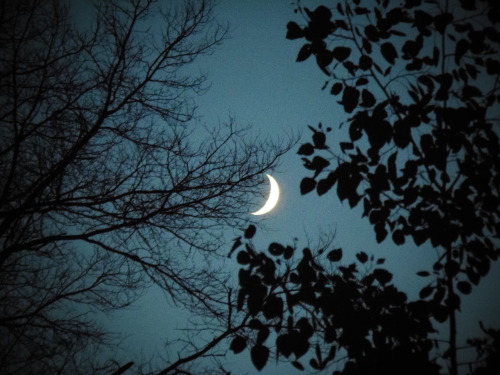 sweetseducingsighs:  The moon tonight, July 1st, 2014 by Allie 