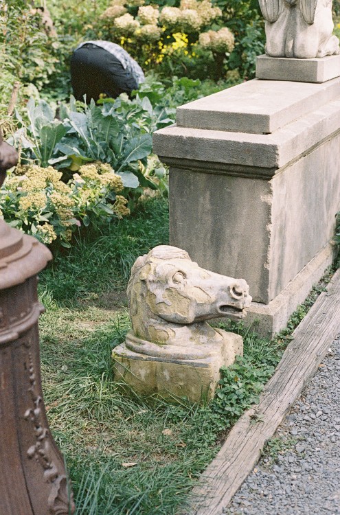 The Elizabeth Street garden in Nolita is pretty special. I hope it continues to be preserved. You ca