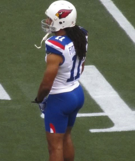 blackveilbarb:  savvyifyanasty:bigcrawdaddy:  phillyprints:  Larry Fitzgerald  Larry