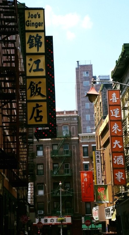 october–story: Adventures in Chinatown, NYC part 2