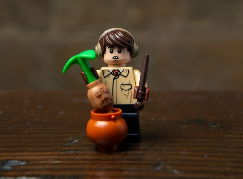 The upcoming Wizarding World Collectable Minifigures. These include sixteen characters from the Harr