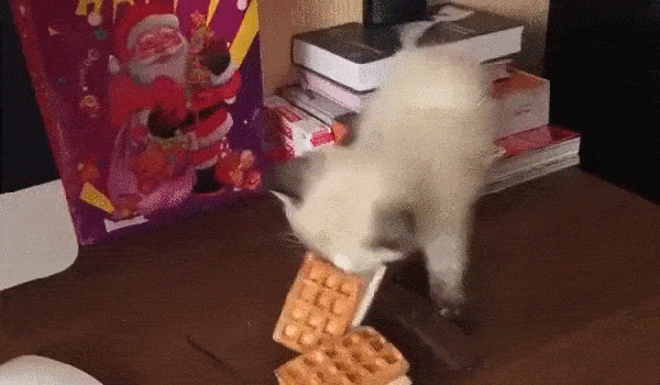 Herkesin hayatında değişmesine sebebiyet veren bir kişi kesinlikle vardır. Herkesin hayatında değişmesine sebebiyet veren bir kişi kesinlikle vardır.