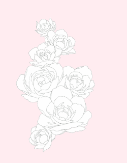 sweetily:  roses | source do not remove