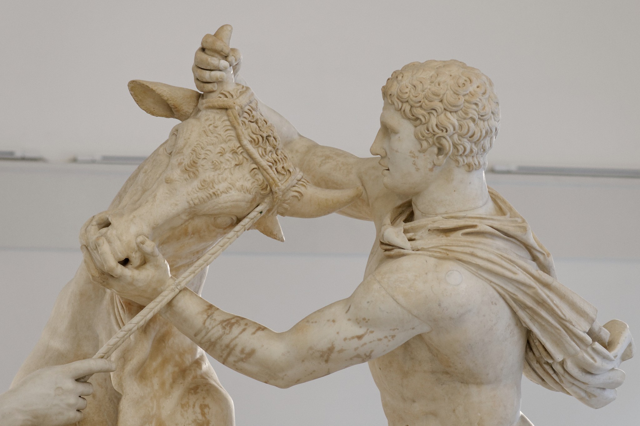 neapolis-neapolis:Apollonio e Taurisco di Tralle, Il supplizio di Dirce o Toro Farnese