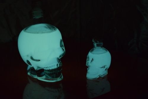 Glowing Bacteria illuminate skulls