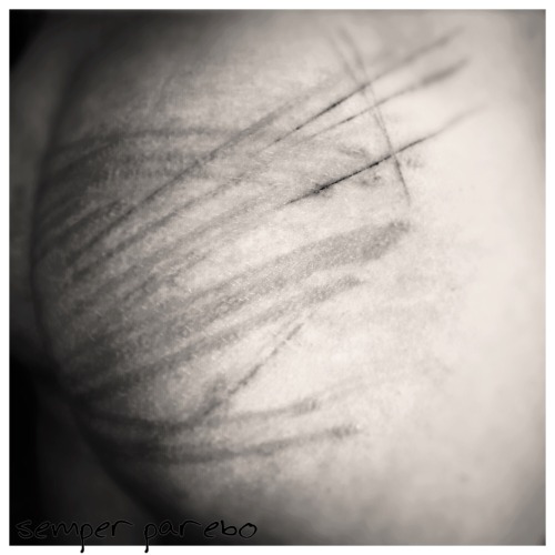 semper-parebo: …my masters random caning…