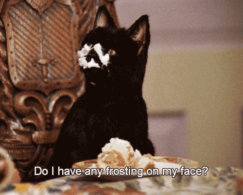 cumber-bitches:  demigodofhoolemere:  i feel like salem the cat is tumblr’s spirit animal               do you guys see what i’m getting at  . 