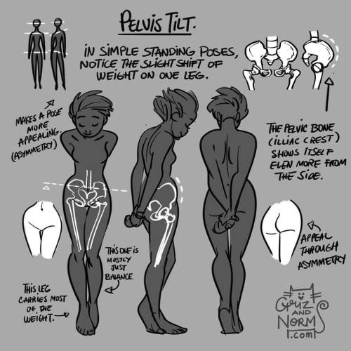 grizandnorm - Tuesday Tips - Pelvis TiltWhenever I approach a...