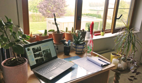 caffeinated-workspace: 30/04/2022Have too many plants at my parents house to use my desk properly. p
