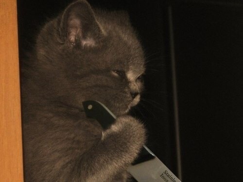 howling-slytherin-394:problematism:i started a collectionOkay, I somehow get the others, but HOW THE
