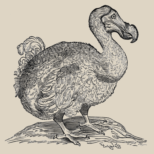 The dodo and its kindred - H. E. Strickland &amp; Alexander Gordon Melville - 1848 - via Interne