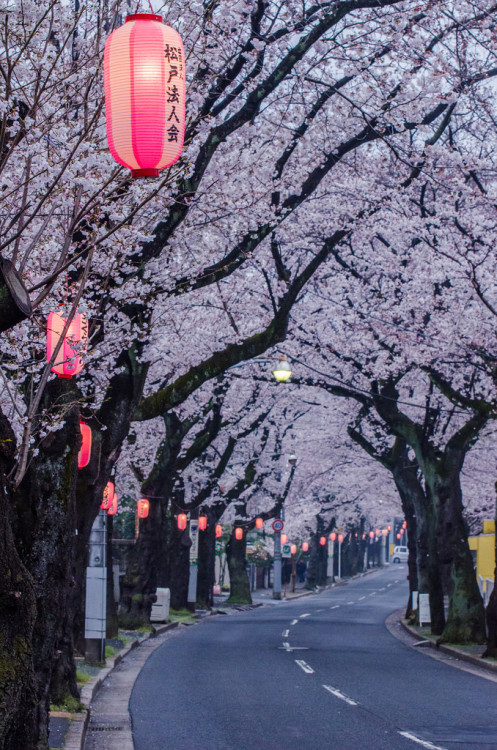 breathtakingdestinations:Matsudo - Japan (von lestaylorphoto)