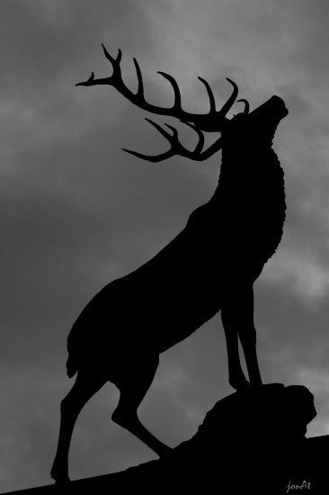 sixpenceeeaesthetic:Dark and searching.