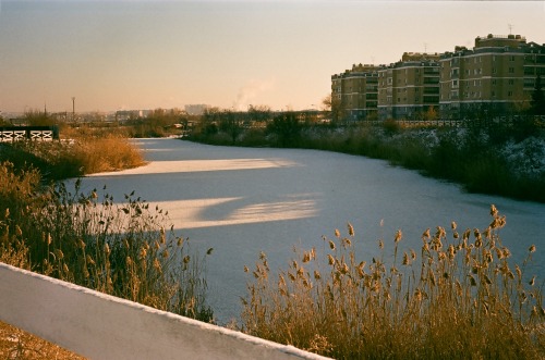 Sunny Winter Days Captured On Film