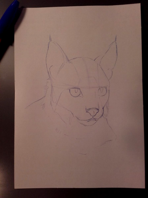 A sketch a day? tryiiiing haaaaard XDDDDSketch of an Iberian Lynx. ____________________I wish to let