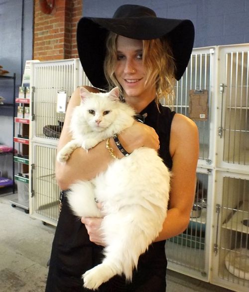 lorelaidanes: A couple weeks ago, Ke$ha went to the local shelter where I used to volunteer and adop