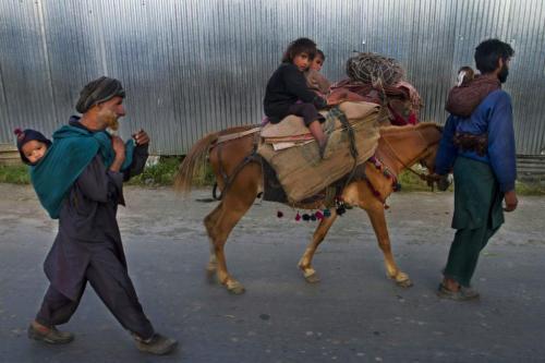 Kashmiri bakarwals travel towards Baltal, on the outskirts of Srinagar on May 22, 2013. Bakarwals ar