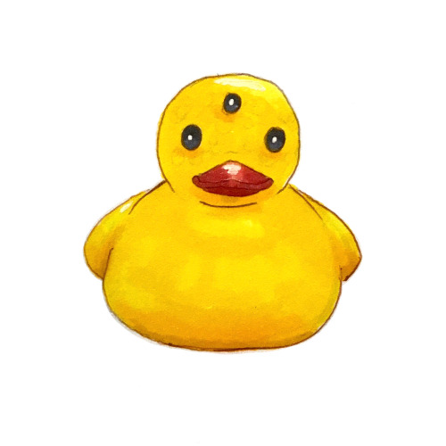 rubber ducks on Tumblr
