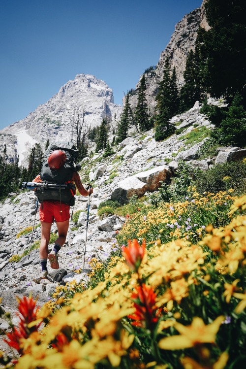 Approach to climb The Grand Teton