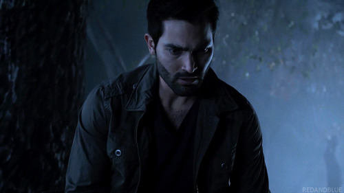 redandbluesterek:  Sterek AU: There is a adult photos