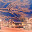 winterxfollies